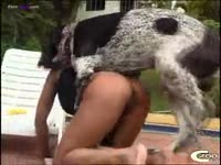 Outdoor dog sex with slut taking in dog's cock